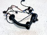 Front door wiring loom