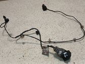 Rear door wiring loom