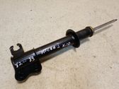 Front shock absorber/damper