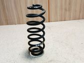Rear coil spring