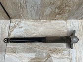 Rear shock absorber/damper