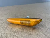 Front fender indicator light