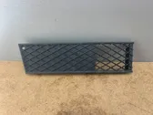 Front bumper lower grill