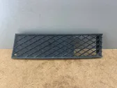 Front bumper lower grill