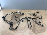 Other wiring loom