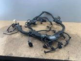 Engine installation wiring loom