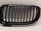 Front bumper upper radiator grill