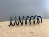 Rear coil spring