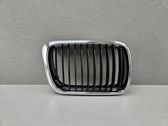 Front bumper upper radiator grill