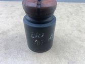 Rear shock absorber with coil spring
