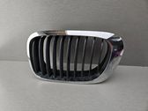 Front bumper upper radiator grill
