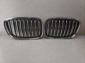 Front bumper upper radiator grill
