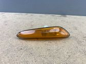 Front fender indicator light