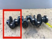 Vilebrequin du moteur