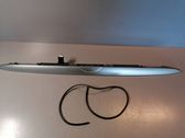 Trunk door license plate light bar