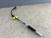 Front door cable line