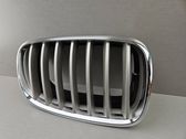 Front bumper upper radiator grill