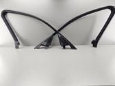 Front door trim (molding)
