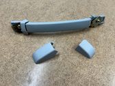 Front interior roof grab handle