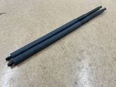 Tailgate/trunk strut/damper