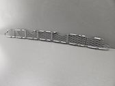 Front bumper lower grill