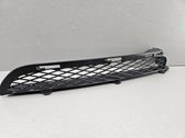 Front fog light trim/grill