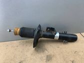 Front shock absorber/damper