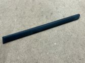 Front door trim (molding)