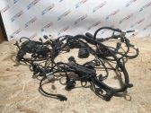 Engine installation wiring loom