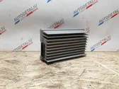 Sound amplifier
