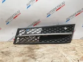 Front bumper lower grill