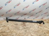 Tailgate/trunk strut/damper