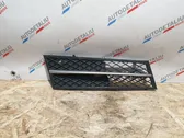 Front bumper lower grill