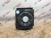 Subwoofer altoparlante