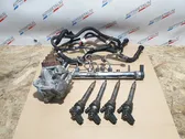 Fuel injection system set