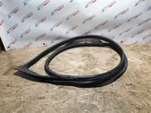 Front door rubber seal