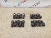 Nuts/bolts