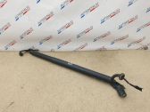 Tailgate/trunk strut/damper
