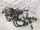 Engine installation wiring loom