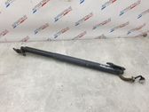 Tailgate/trunk strut/damper