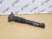 Rear shock absorber/damper