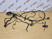 Front door wiring loom