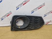 Front fog light trim/grill