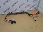 Other wiring loom
