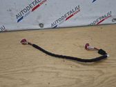 Sound system wiring loom