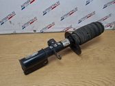Front shock absorber/damper