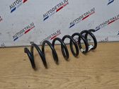 Rear coil spring
