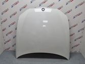 Engine bonnet/hood