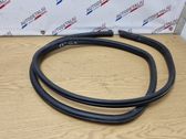Rear door rubber seal (on body)