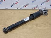 Rear shock absorber/damper